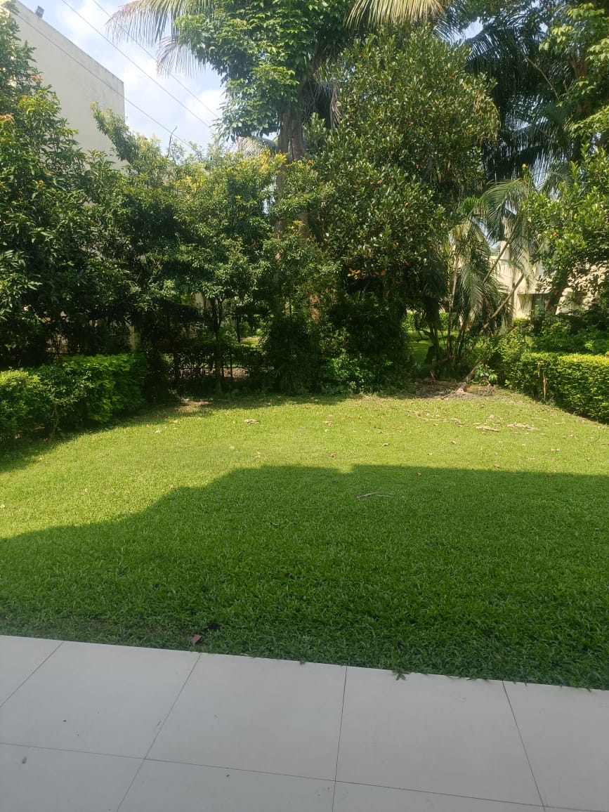 9124f181-4dab-43ff-991b-7c86cda16685